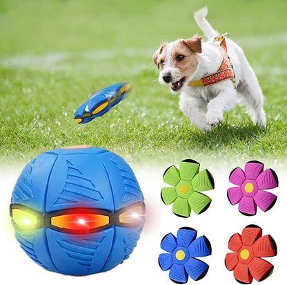 Claws & Paws Co.™ Dog Frisbee