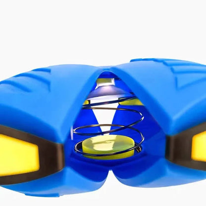 Claws & Paws Co.™ Dog Frisbee