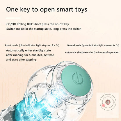Claws & Paws Co. Interactive Ball