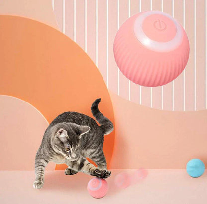 Claws & Paws Co. Interactive Ball