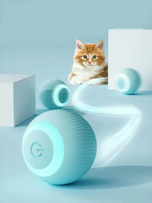 Claws & Paws Co. Interactive Ball