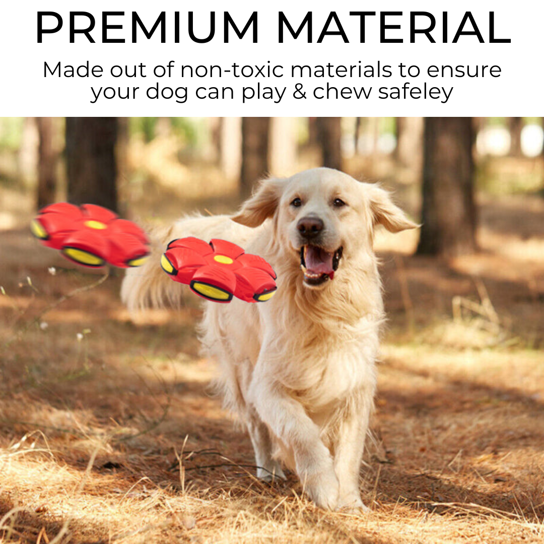 Claws & Paws Co.™ Dog Frisbee