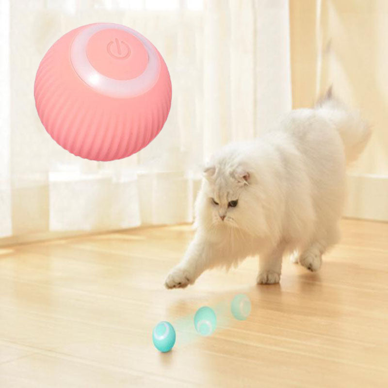 Claws & Paws Co. Interactive Ball