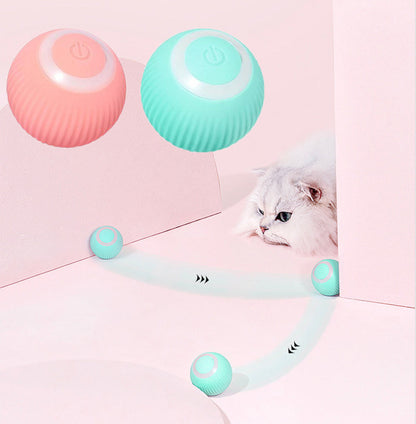 Claws & Paws Co. Interactive Ball